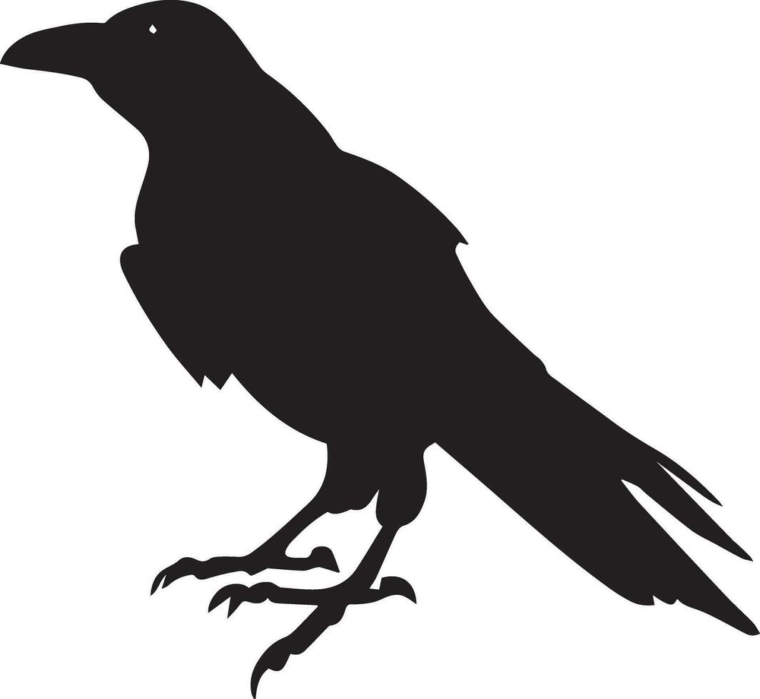 Crow vector silhouette illustration black color