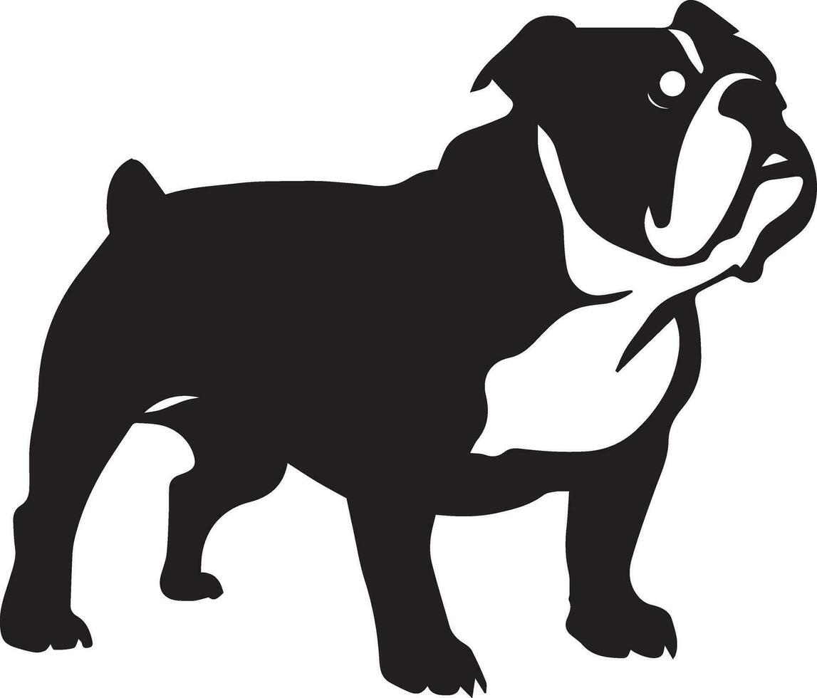 English Bulldog Silhouette Vector Art, Icons, and Graphics for ... - Vecteezy