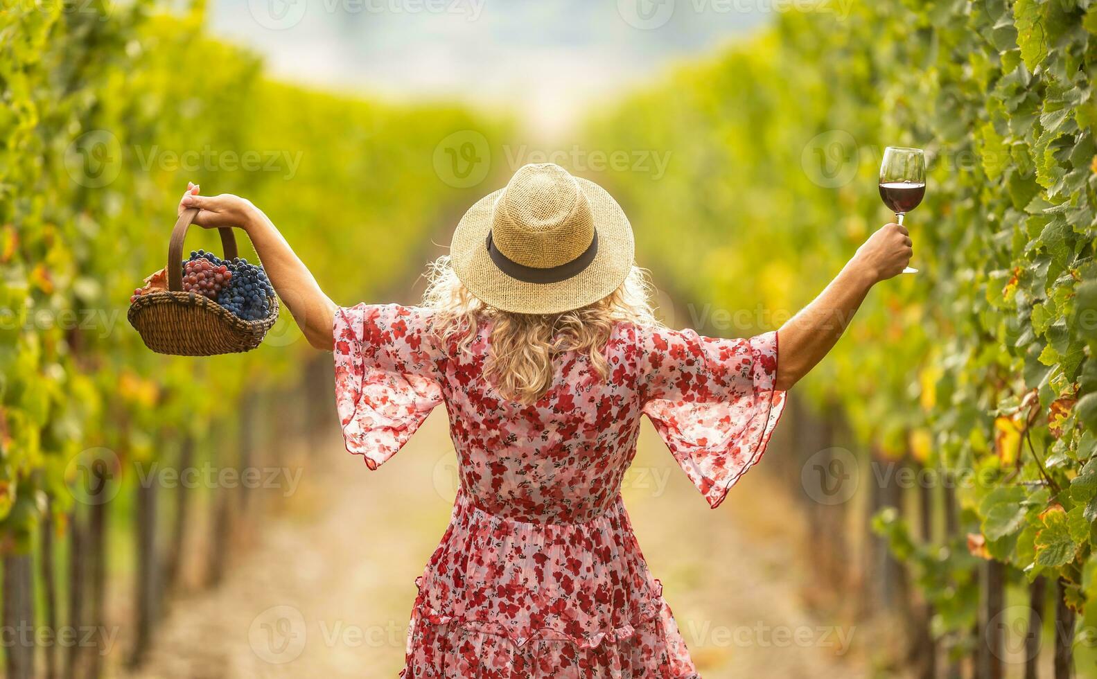 mujer en vestir y Paja sombrero tiene resucitado manos y sostiene un vaso de delicioso rojo vino y un cesta lleno de uvas. ella camina mediante un viñedo foto