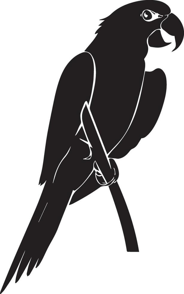 Parrot vector silhouette illustration