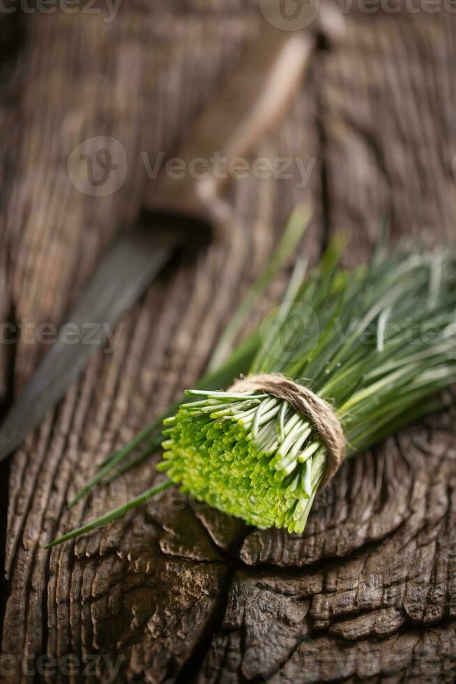 Bunch of freshly cut chives wrapped by a jute twine on a vintage wood next to a knife photo