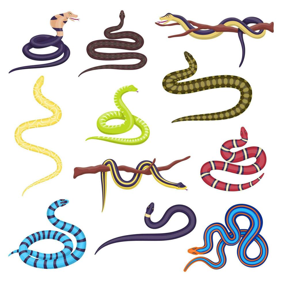 dibujos animados color diferente serpiente icono colocar. vector