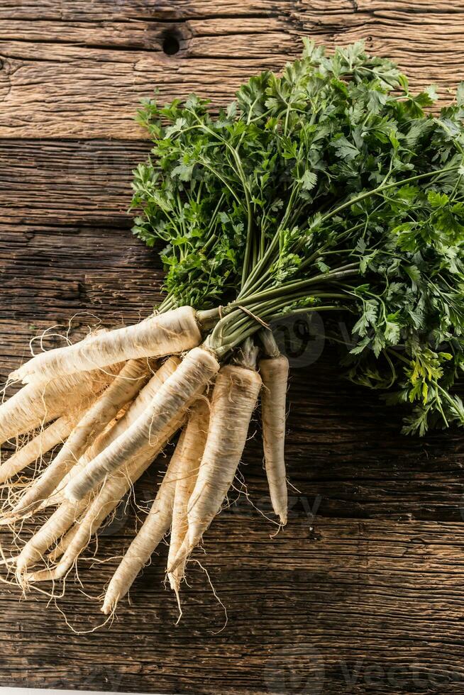 Close-up parsnip with parsley top on wooden board photo