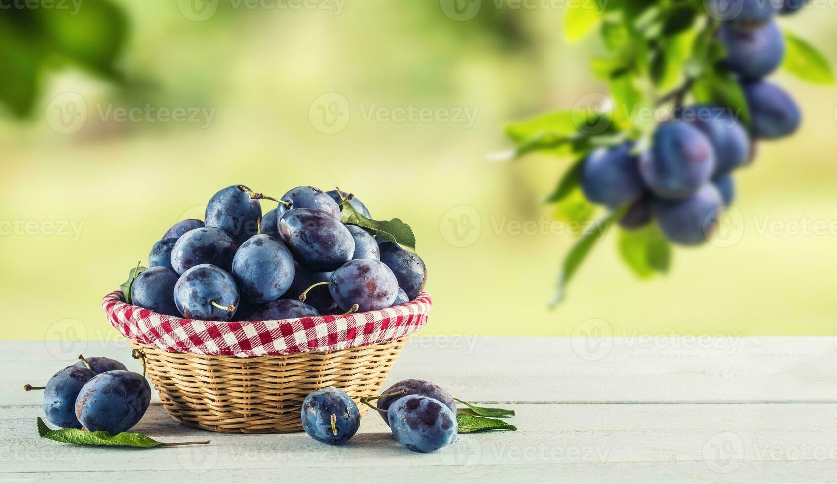 Sweet ripe plums in basket on garden table photo