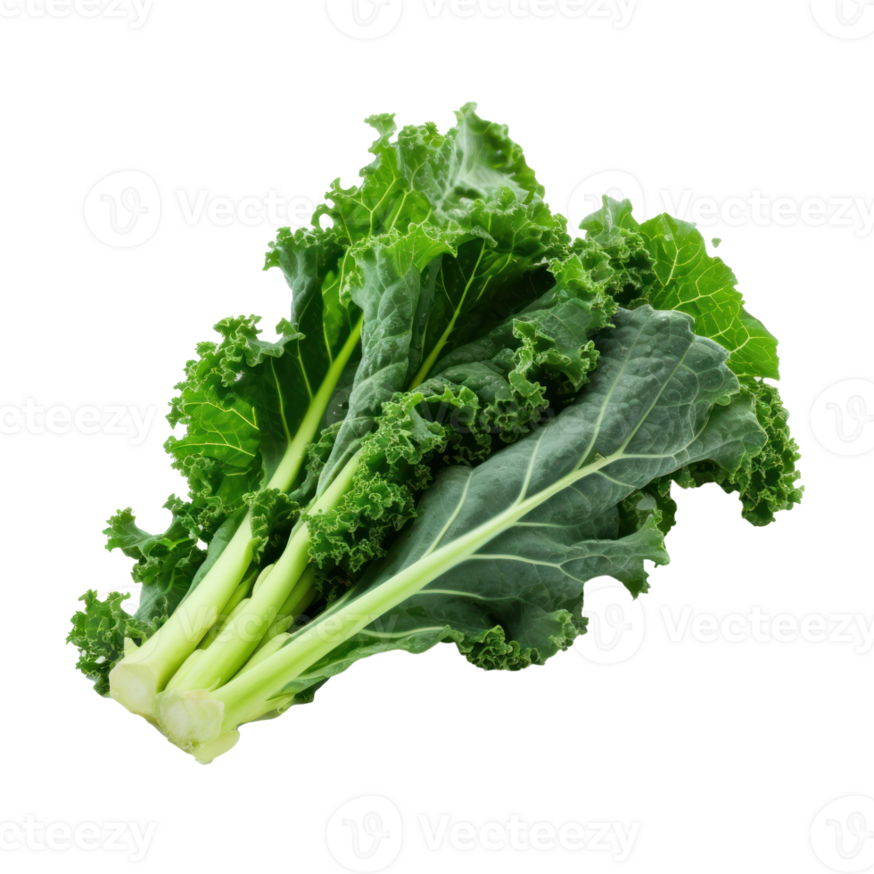Green Kale Leaves Isolated 27546563 PNG green-kale-leaves-isolated-27546563-png