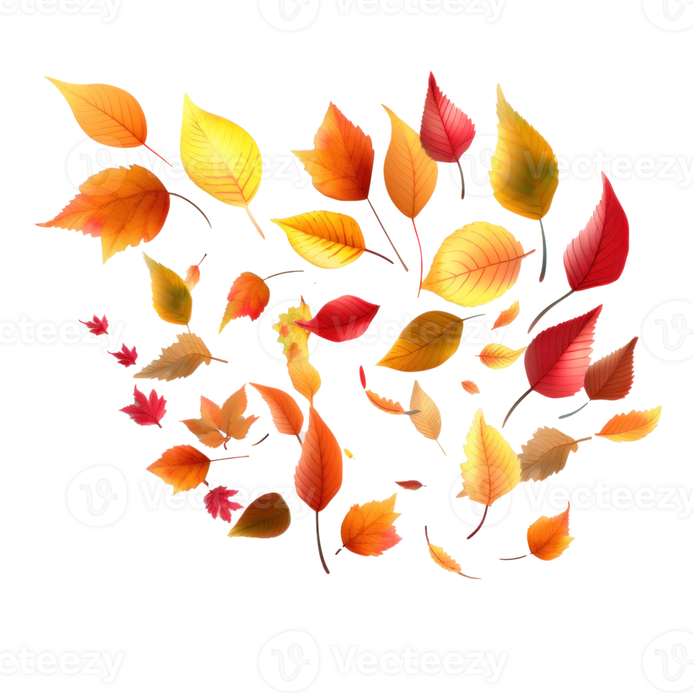 Autumn falling leaves isolated png