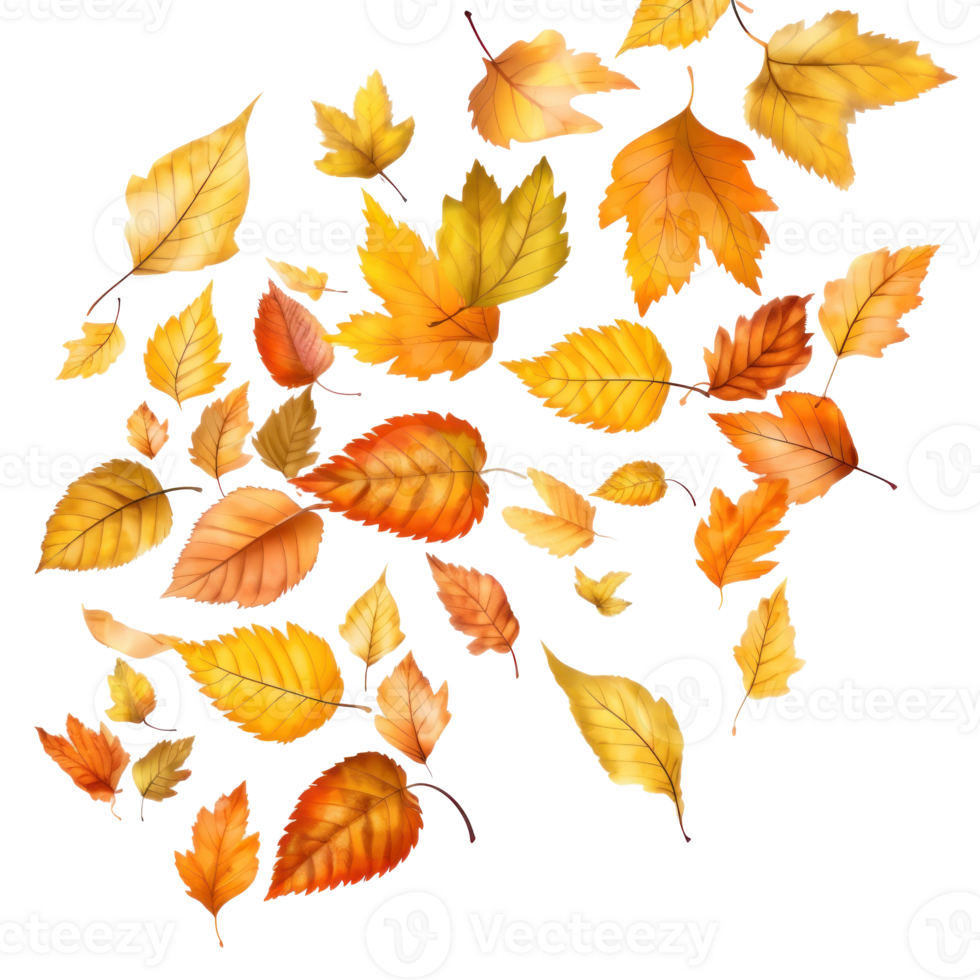 Autumn falling leaves isolated png