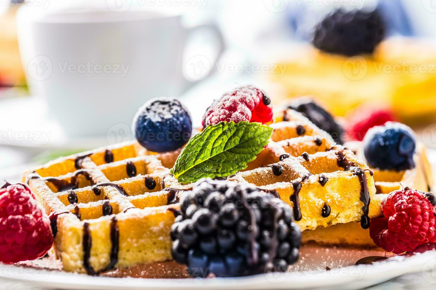 Fresco gofres con chocolate jarabe bayas azúcar polvo hormiga menta hojas. foto