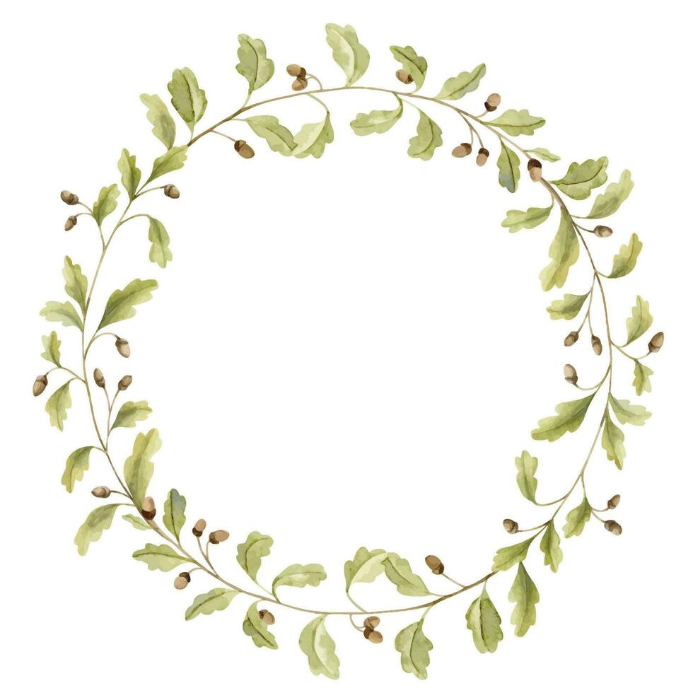 Oak branch Wreath. Hand drawn watercolor illustration of round Frame with acorns and green leaves on white isolated background. Circular border with forest foliage for icon, logo or greeting cards vector