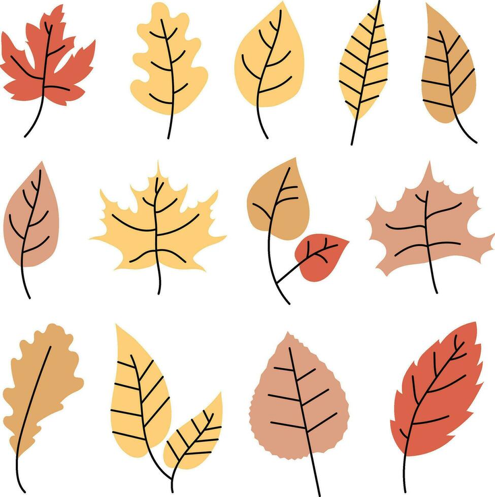 set of autumn leaves in minimalistic style, vector illustration