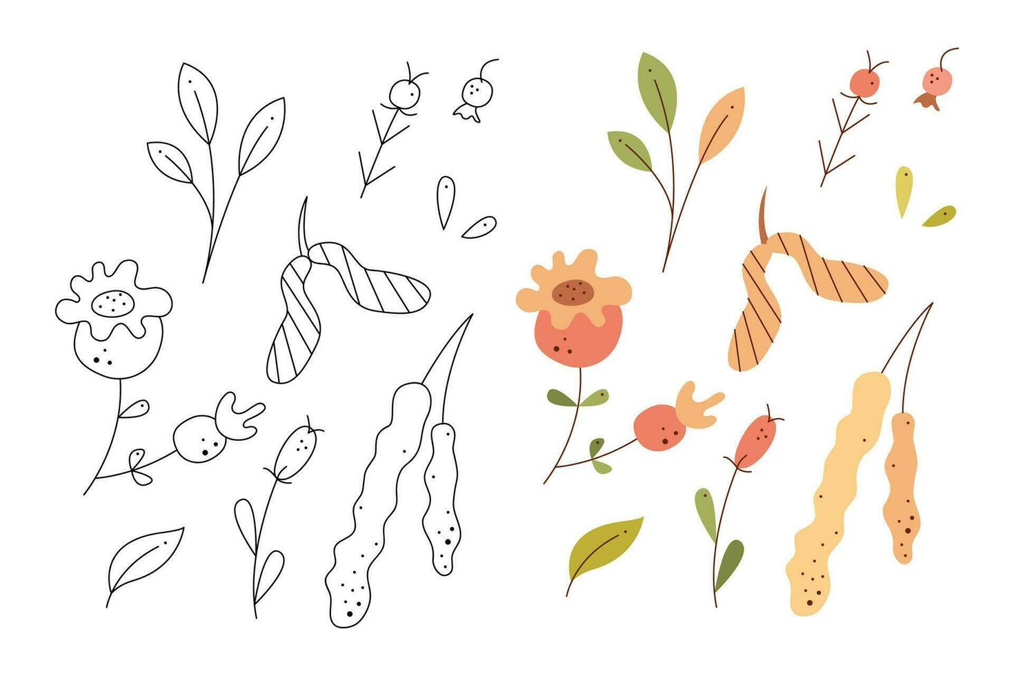 Set of abstract autumn leaves, berries, seeds and catkins. Black and white and color clipart vector illustration.