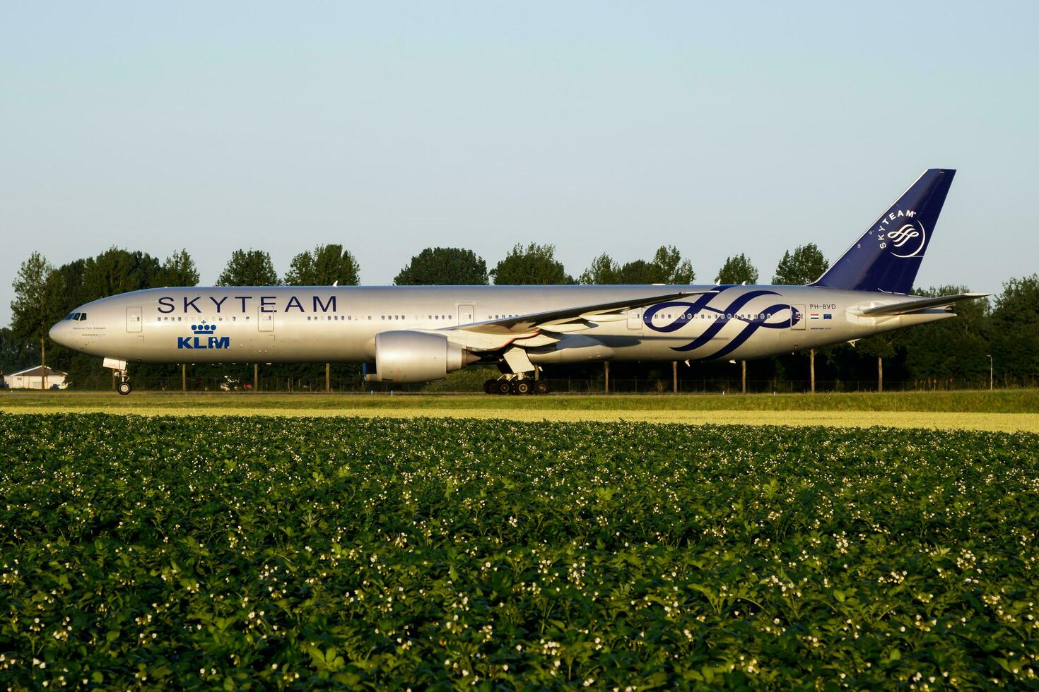 Skyteam KLM Royal Dutch Airlines Boeing 777-300ER PH-BVD passenger plane taxiing at Amsterdam Schipol Airport photo