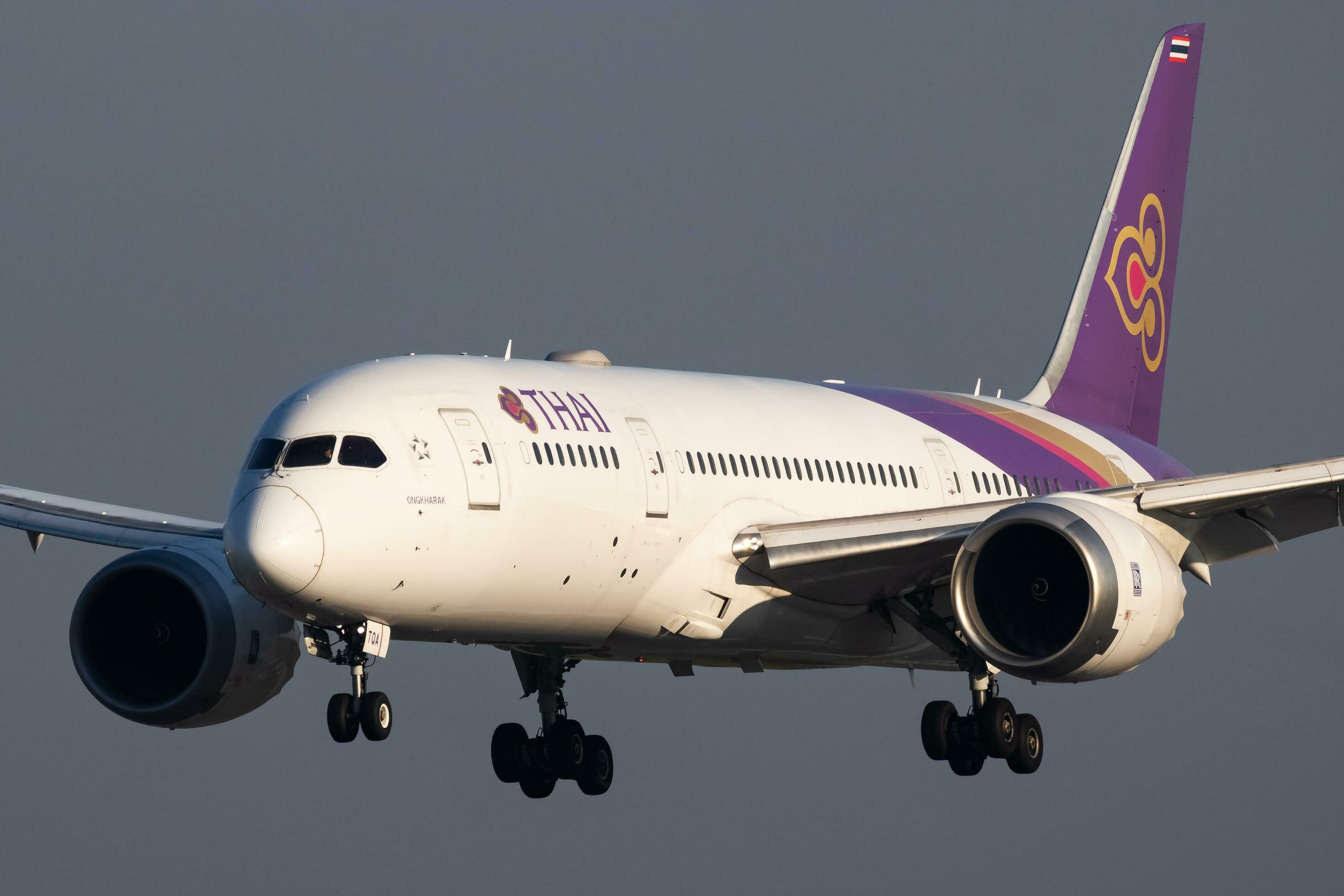THAI航空 Boeing 787-8 Dreamliner 1/500 Boeing 787-8 Dreamliner Thai Airways | Modelsnavigator.com