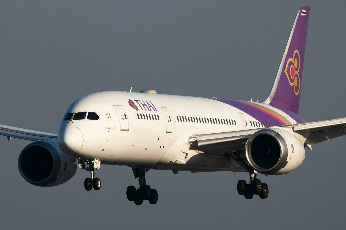 Thai Airways Boeing 787-8 Dreamliner HS-TQA passenger plane arrival and landing at Vienna International Airport photo