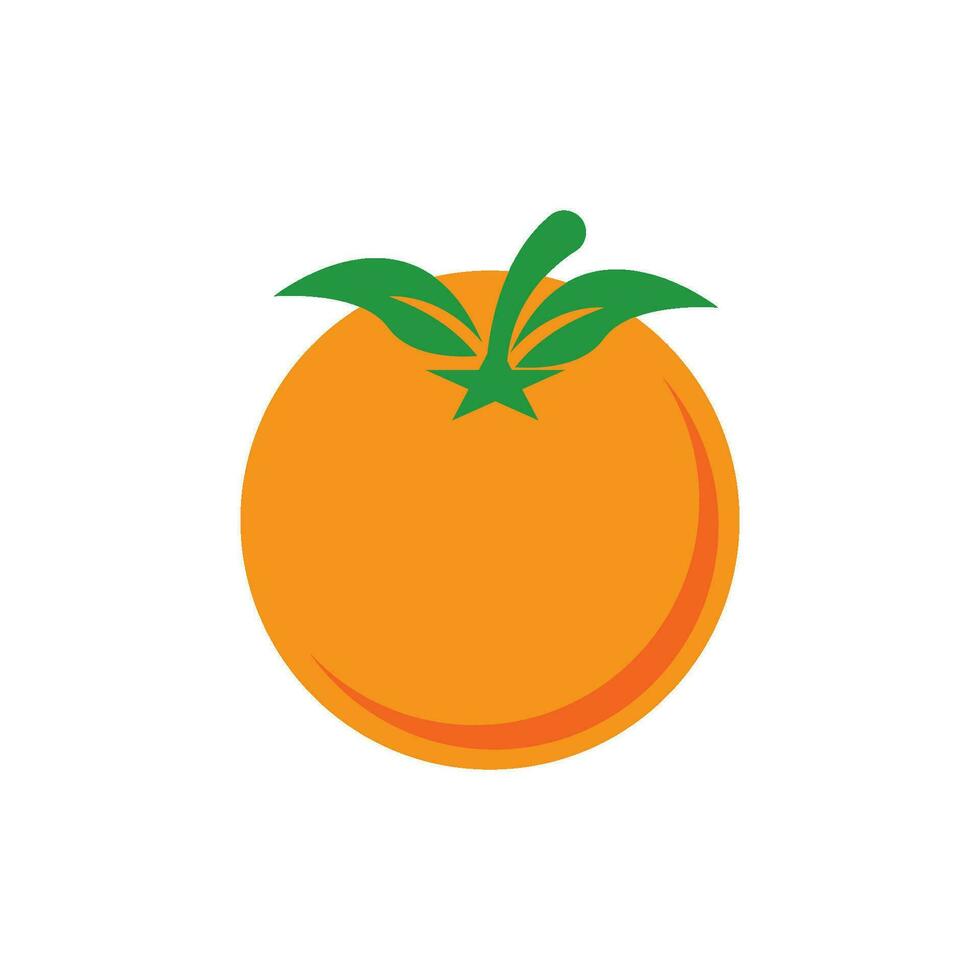 Orange fruit logo Vector illustration template design