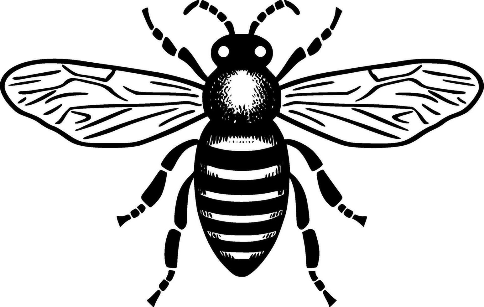 Bee, Black and White Vector illustration