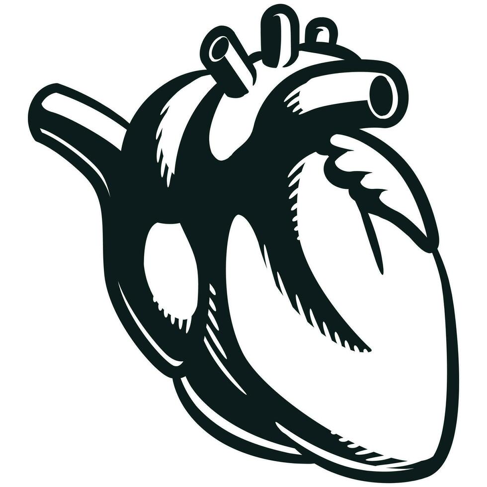 Silhouette Human Heart Internal Cardiovascular Organ vector