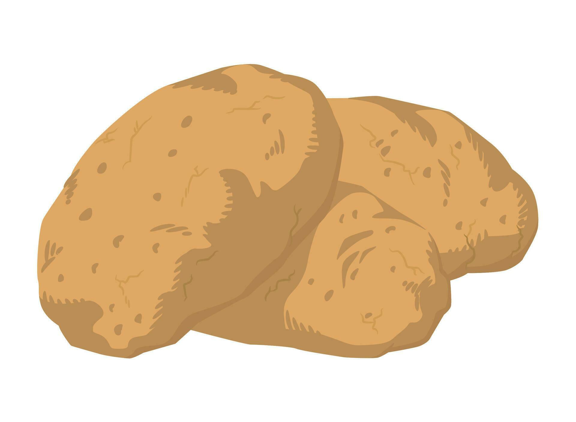 Flat Russet Potato Starch Vegetable Food 27565486 Vector Art at Vecteezy