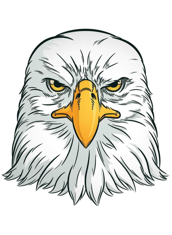 Eagle Head Front View Falcon Bird vector