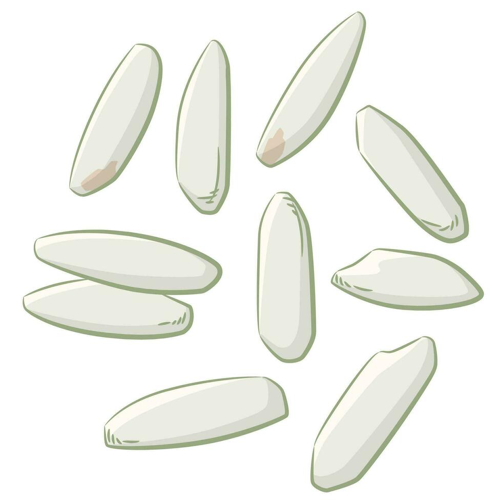 Rice Grain Organic Farm Harvest Cartoon vector