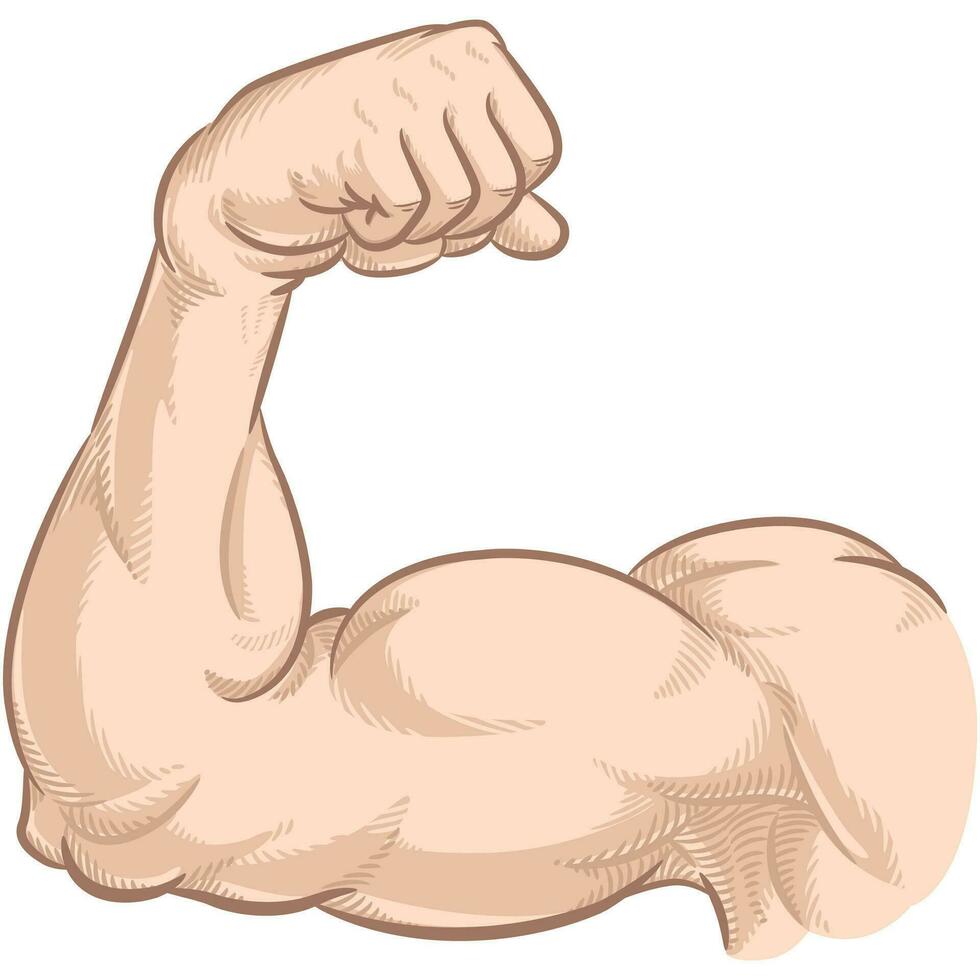 brazo flexionando muscular bíceps gimnasio actitud vector
