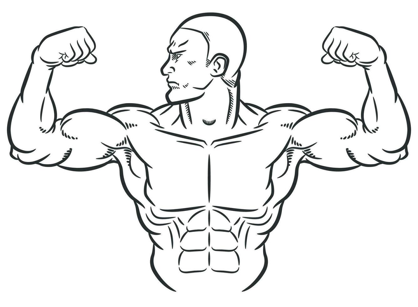Sketch Bodybuilder Flexing Bulky Arm Muscles vector