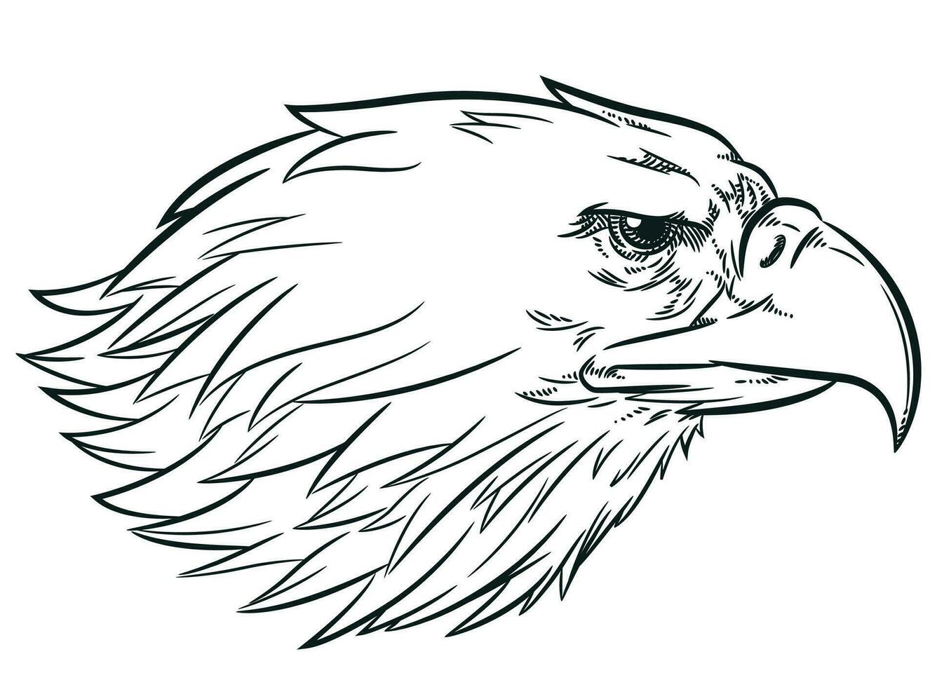 Sketch Eagle Head Side View Profile vector
