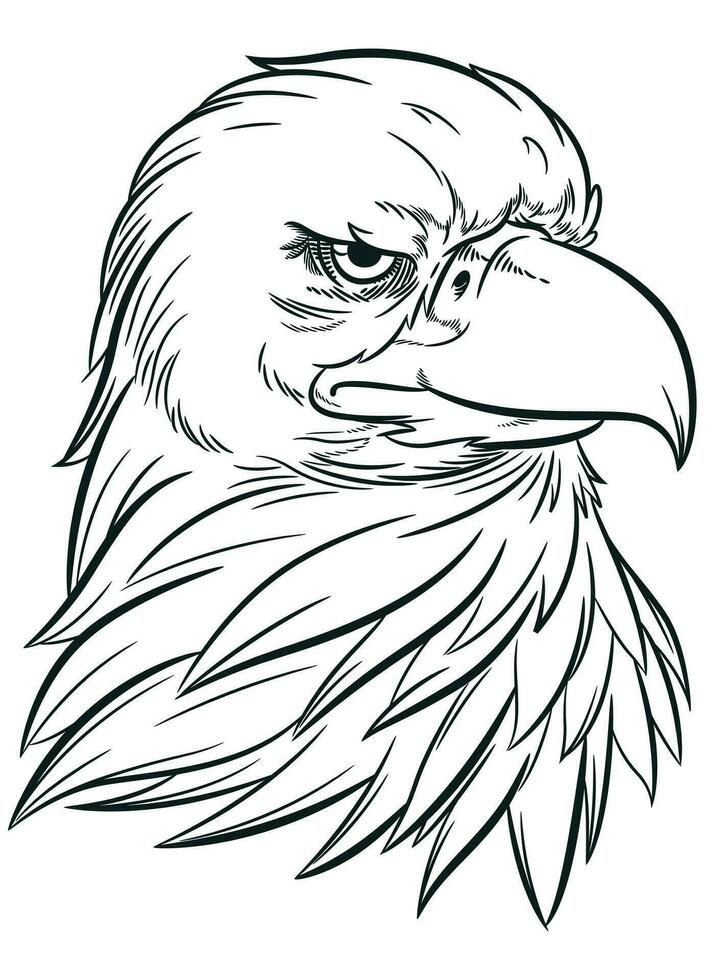 Sketch Bald Eagle Head Sports Mascot vector