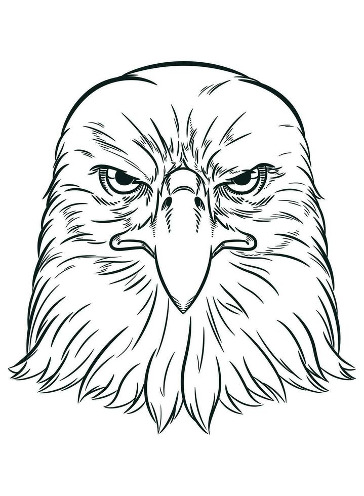 Sketch American Eagle Predator Bird Face vector