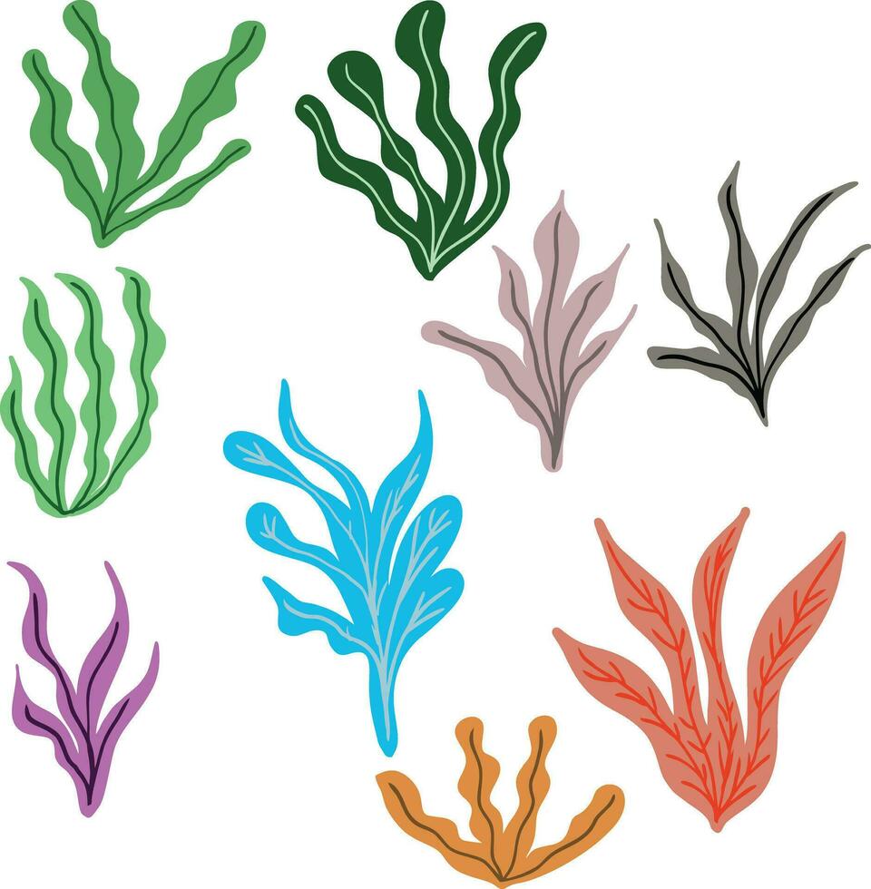 Abstract seaweeds vector