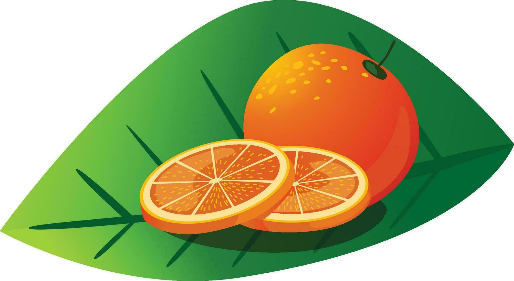 orange grapefruit lemon isolat vector