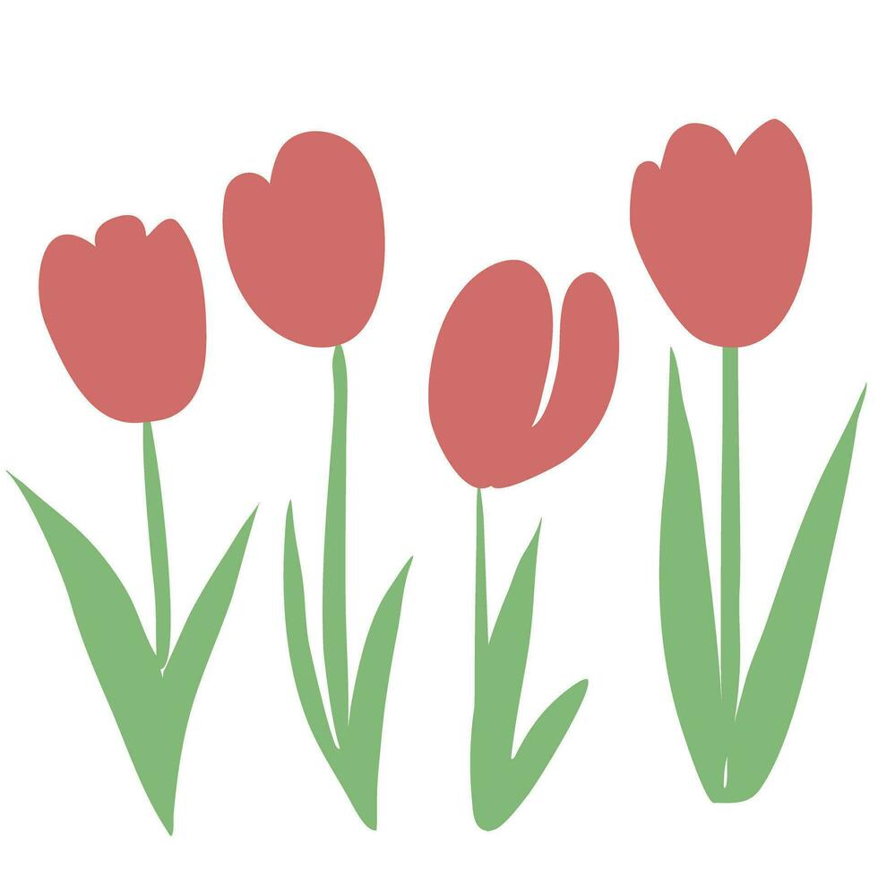 tulips are shown in a row vector