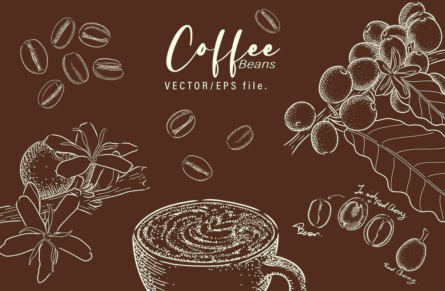 café mano dibujado elementos vector conjunto