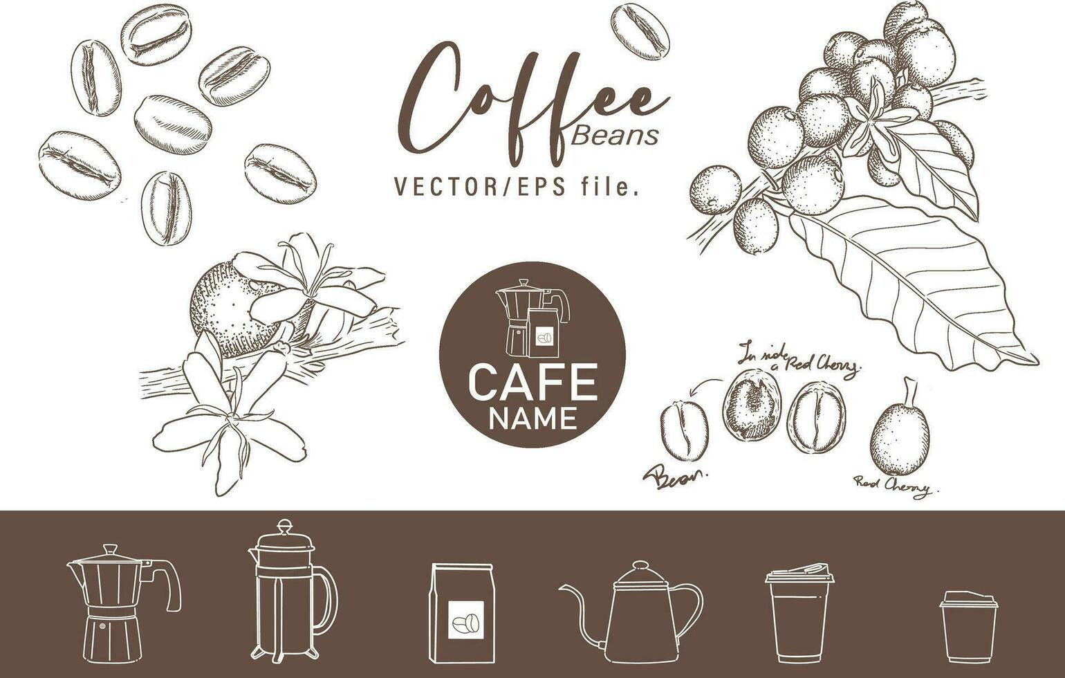 Coffee hand drawn elements and icon vector set