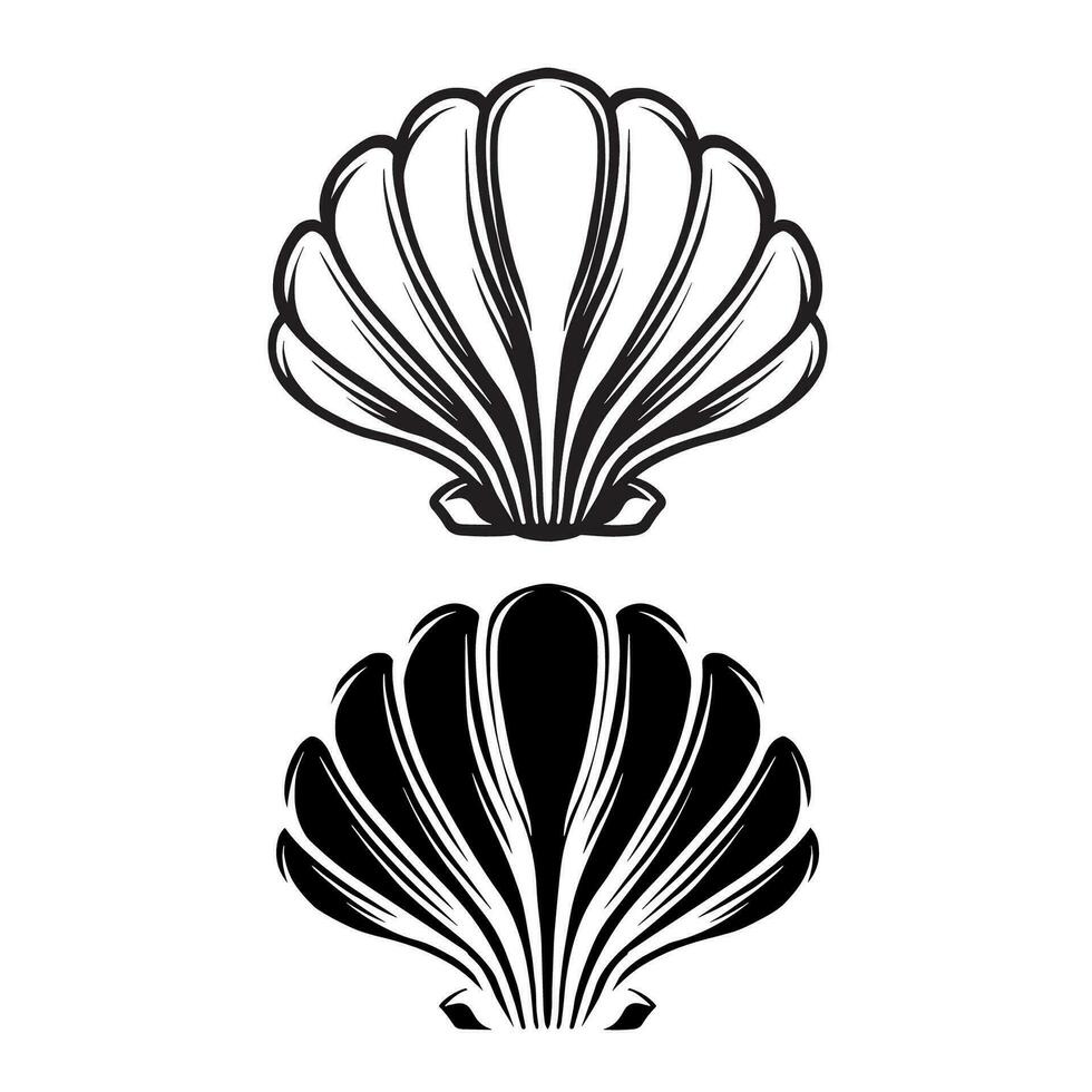 scallop seashell. Shellfish vector