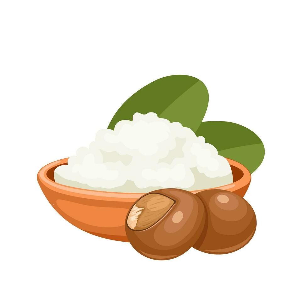 Vector illustration, shea butter, isolated on white background.