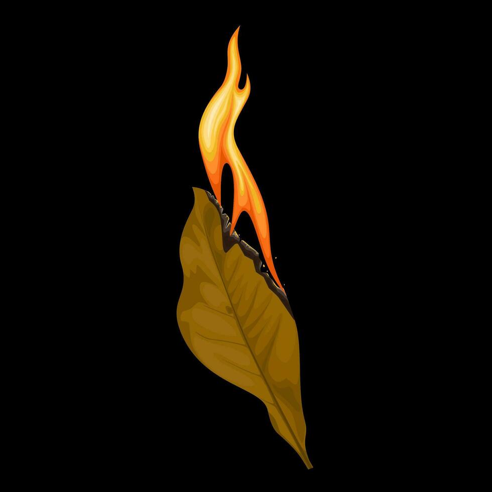 Vector illustration, burning bay leaf, for spiritual and aromatherapy, isolated on dark background.