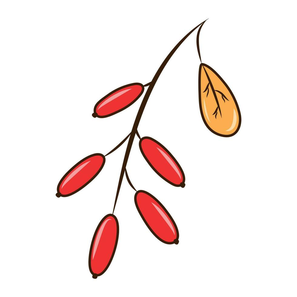 Cute clipart in autumn style with a barberry vector