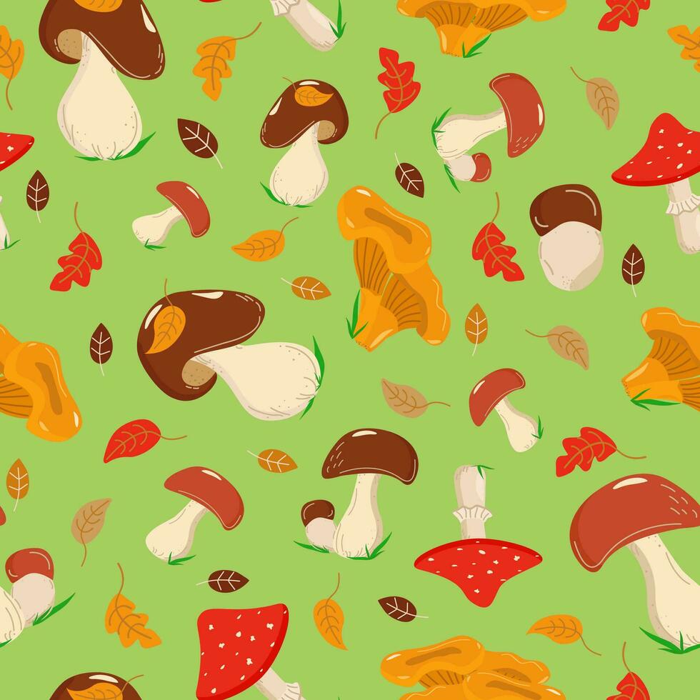 A pattern of mushrooms poisonous, edible, mushrooms, fly agaric. Doodle drawings. Types of forest mushrooms. Organic vegetarian food. Vector illustration, isolated background.