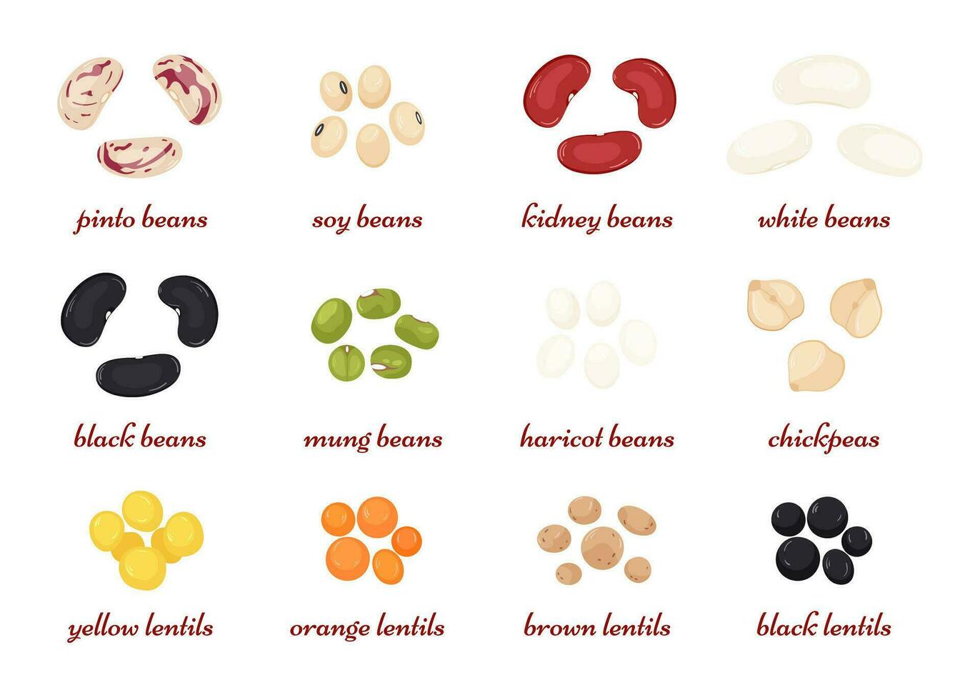 Leguminous set. Grains of beans, soybeans, lentils, chickpeas, mung. Organic superfood vector