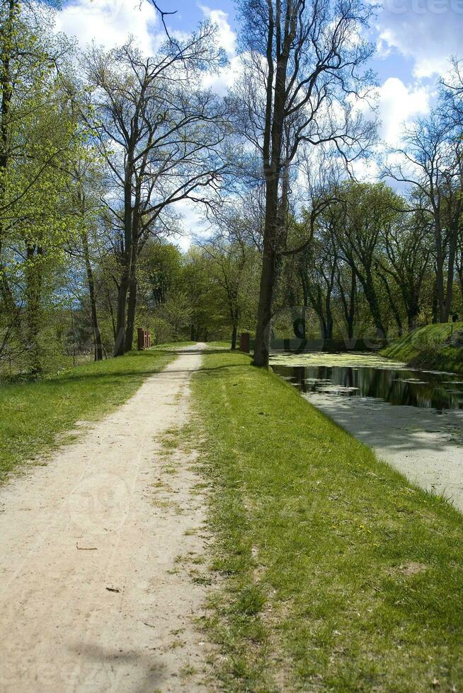 calma primavera paisaje con un río con verde agua plantas en un calentar día foto