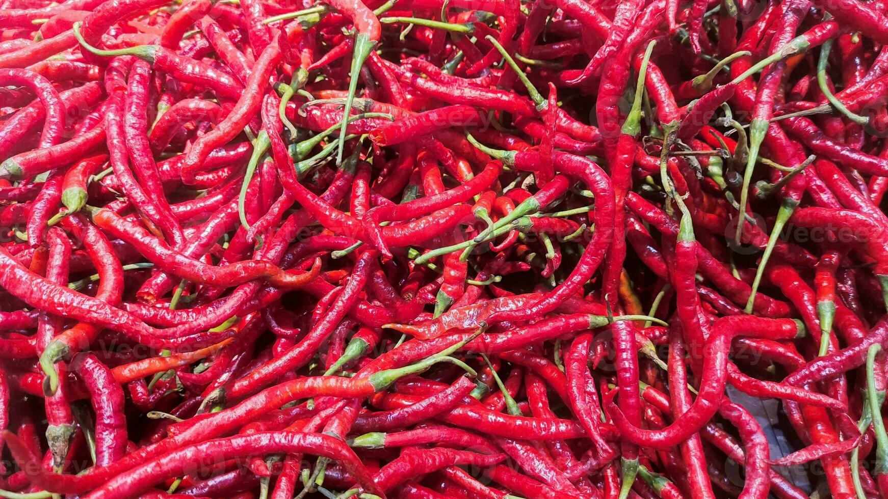 pile of chilies on market photo