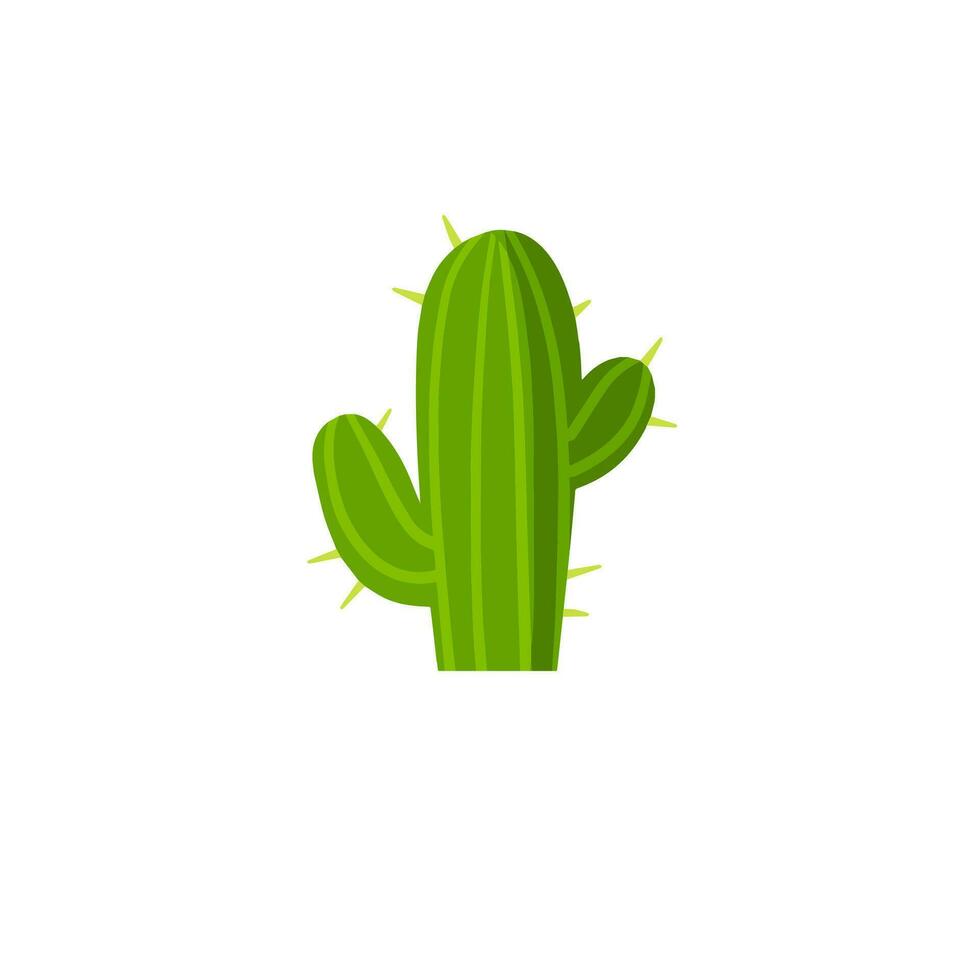 Cactus. Green desert plant. Succulent with thorns. Element of southern scenery of nature. Flat cartoon illustration vector