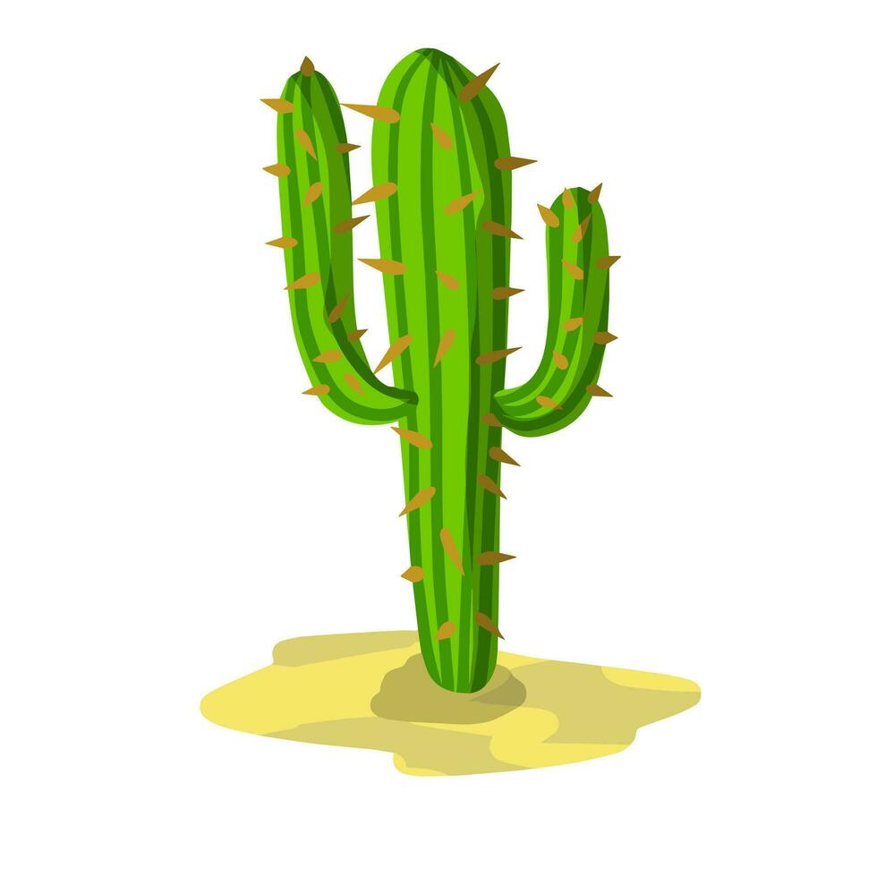 Cactus. Green desert plant. Succulent with thorns. Element of southern scenery of nature. Flat cartoon illustration vector