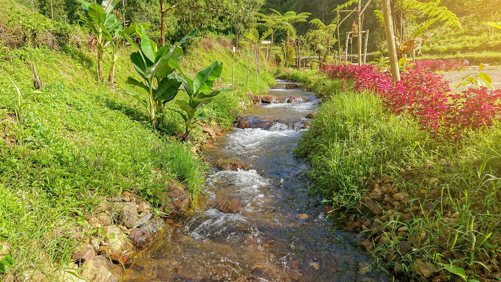 río en el medio de el campo foto