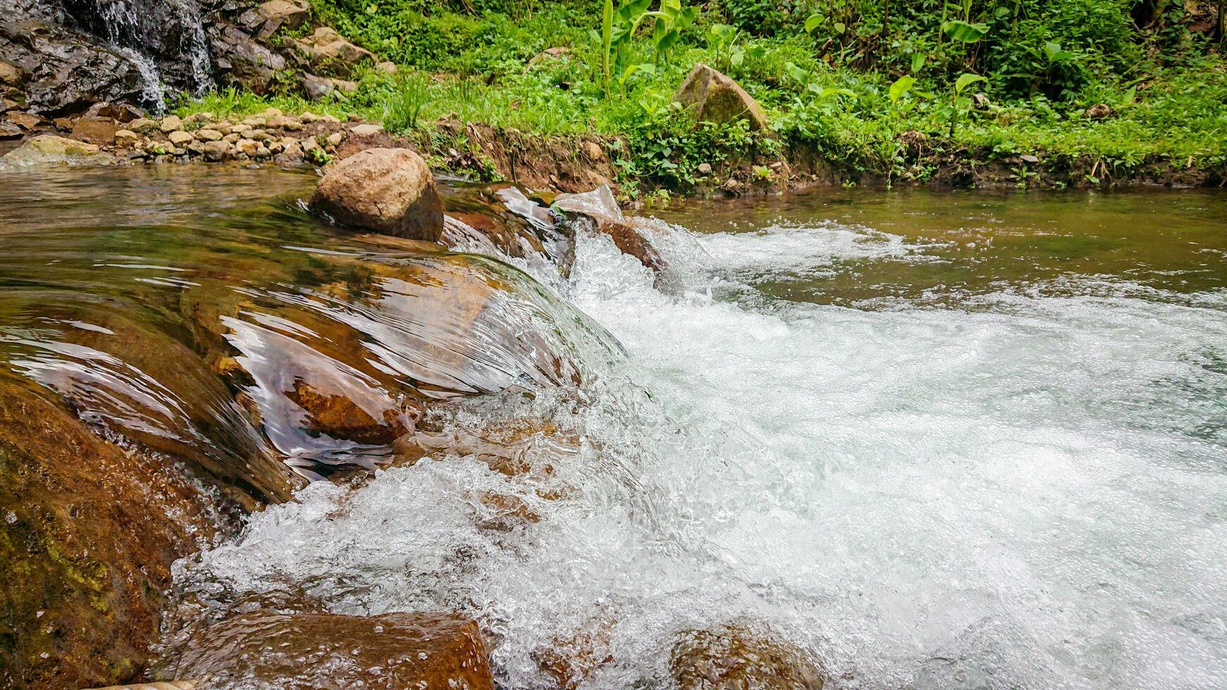 rapid flow of water in the village river photo