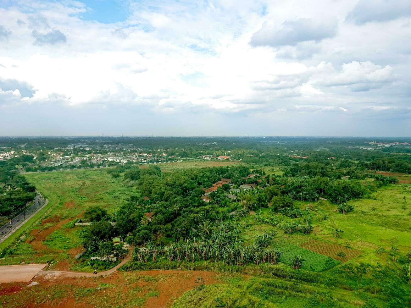 view of green trees with clear sky photo