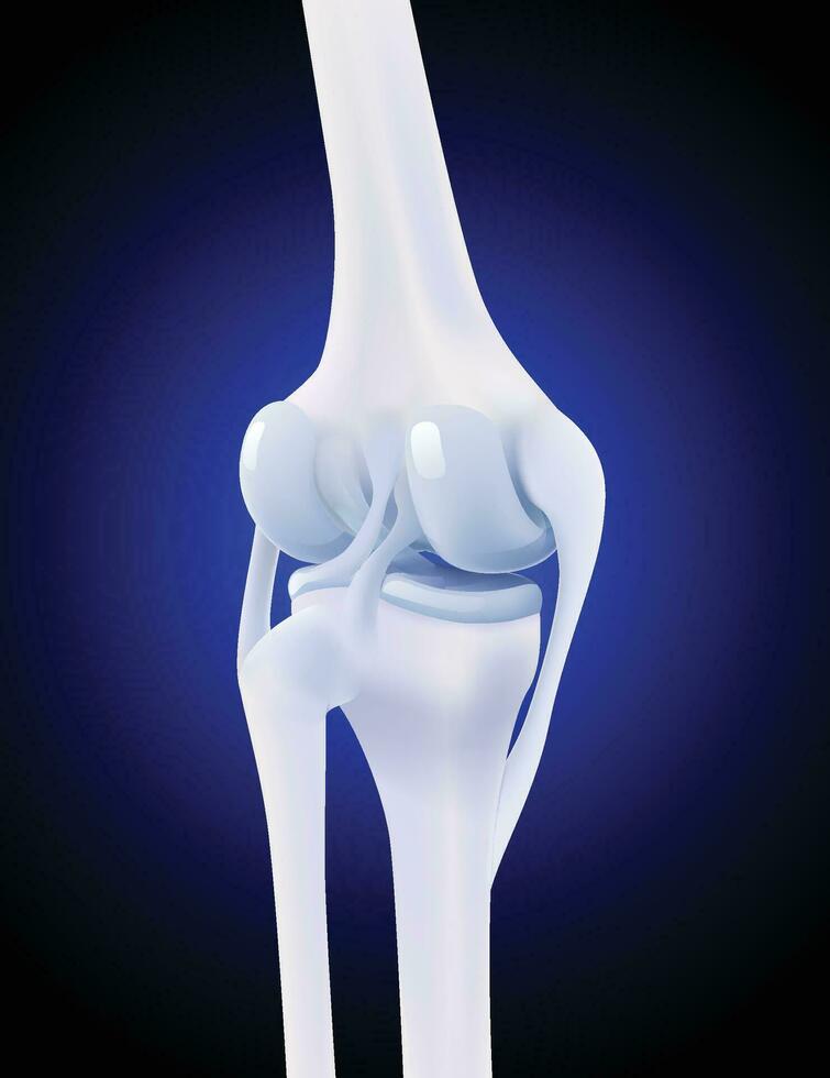 3d ilustración de posterior colateral ligamento de humano rodilla hueso en oscuro azul antecedentes. vector