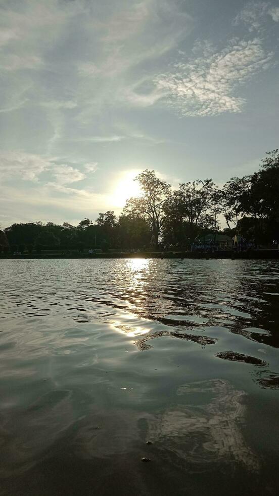 sunset dark bush tree river photo