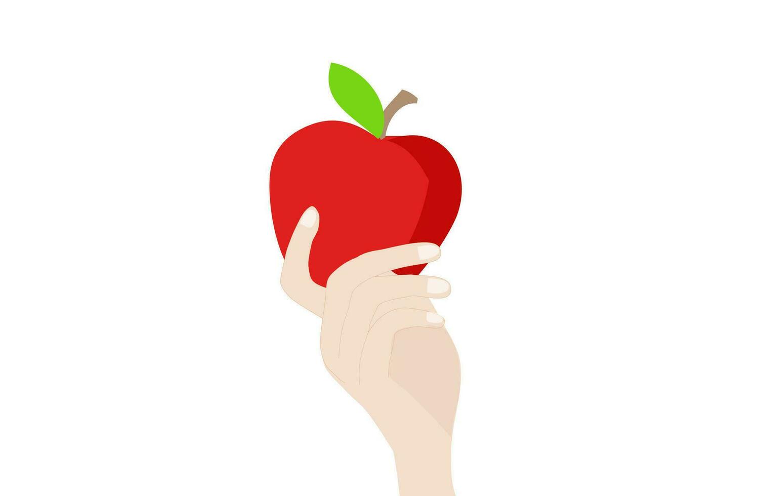 Red apple in woman's hand vector illustration